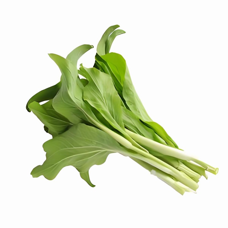 春季補(bǔ)腎適宜嗎 春季補(bǔ)腎吃什么好