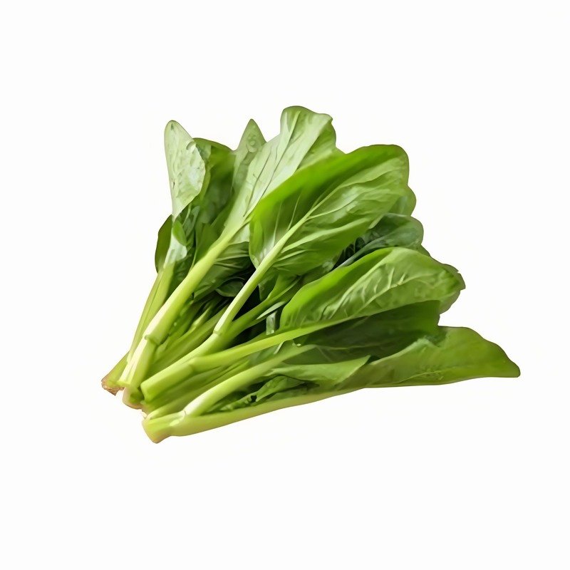 春季補腦攻略 輕松生活每一天早春