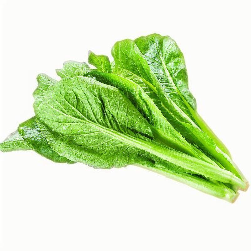 春季補鈣吃什么食物好
