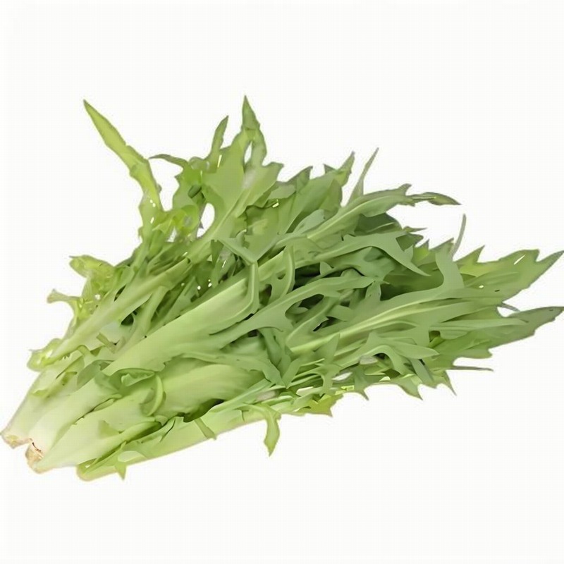 苦麥菜